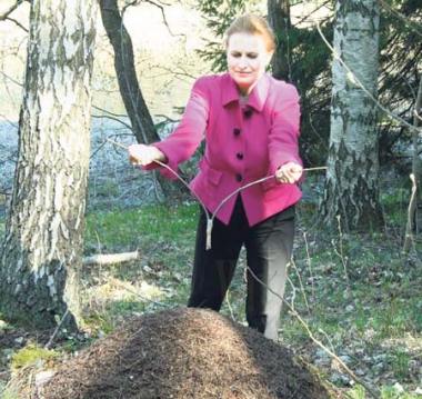 Tiina Lindholm käyttämässä varpua
