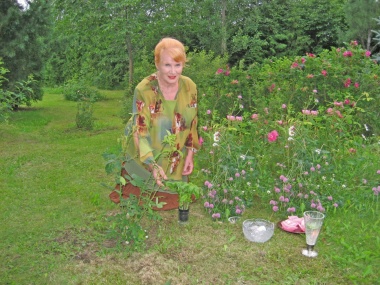 Marja-Liisa Haapa-aho